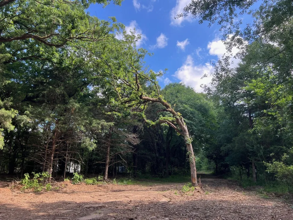 78 Cr 1080 Fairfield, TX 75840