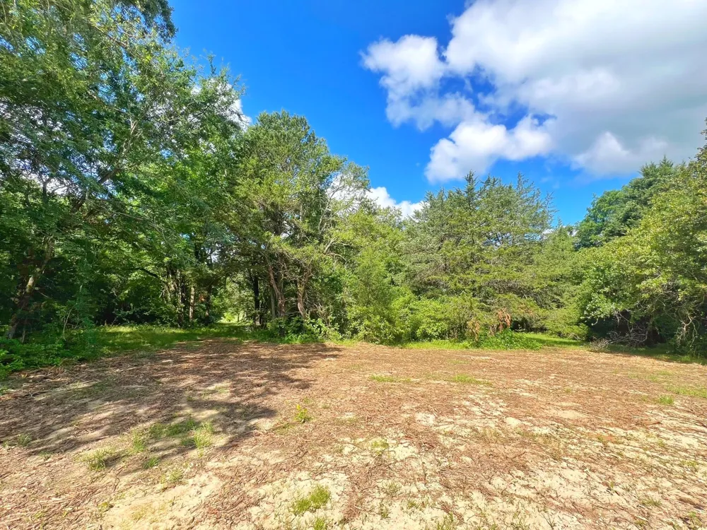 78 Cr 1080 Fairfield, TX 75840