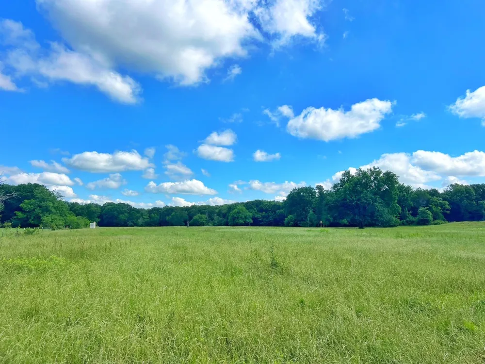 78 Cr 1080 Fairfield, TX 75840