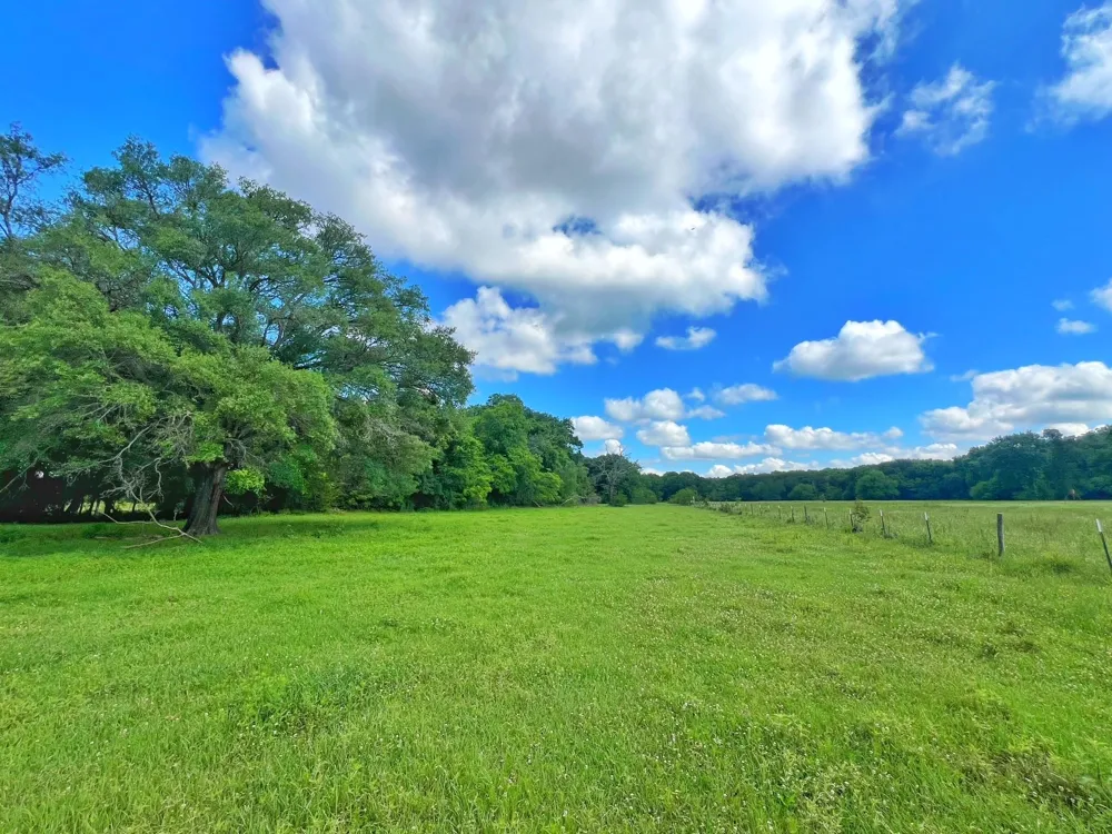78 Cr 1080 Fairfield, TX 75840