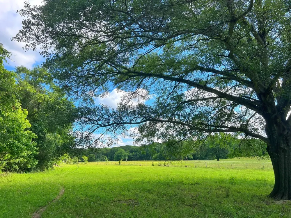 78 Cr 1080 Fairfield, TX 75840