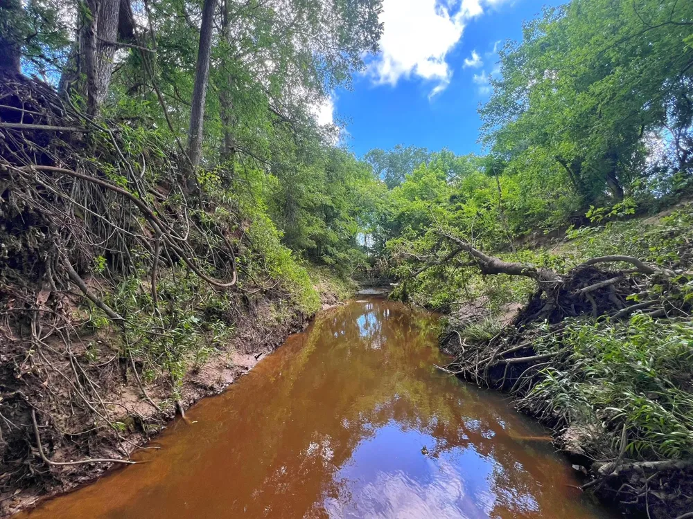 78 Cr 1080 Fairfield, TX 75840