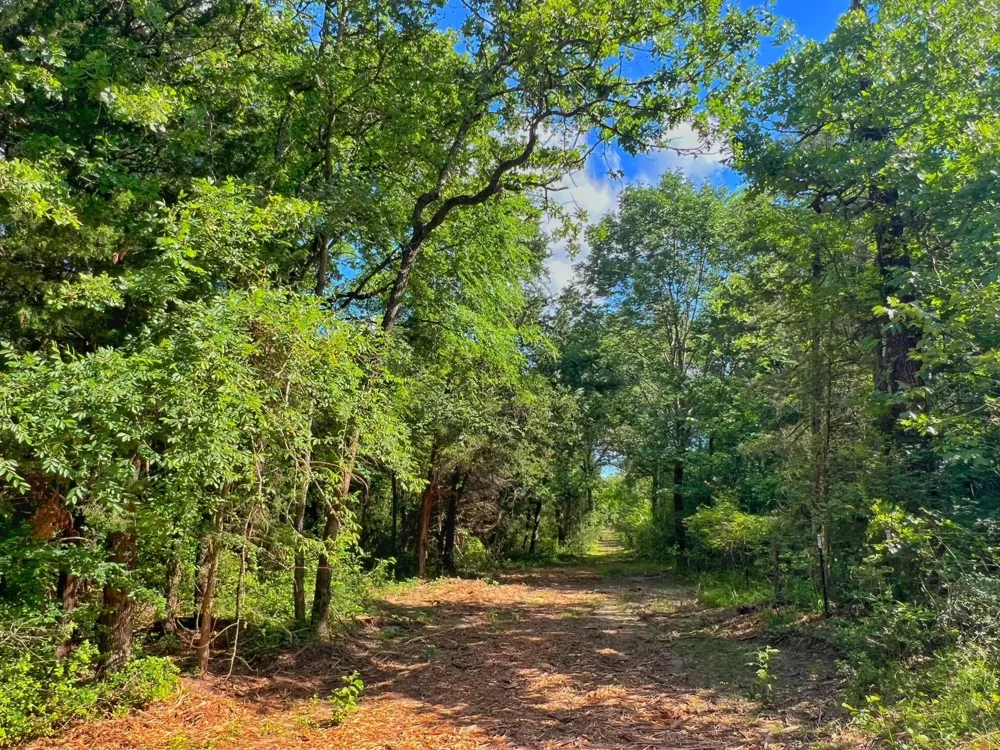 78 Cr 1080 Fairfield, TX 75840