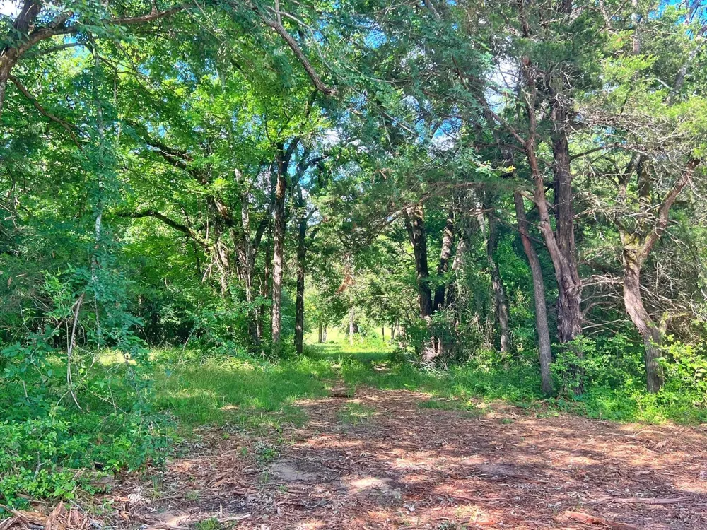 78 Cr 1080 Fairfield, TX 75840