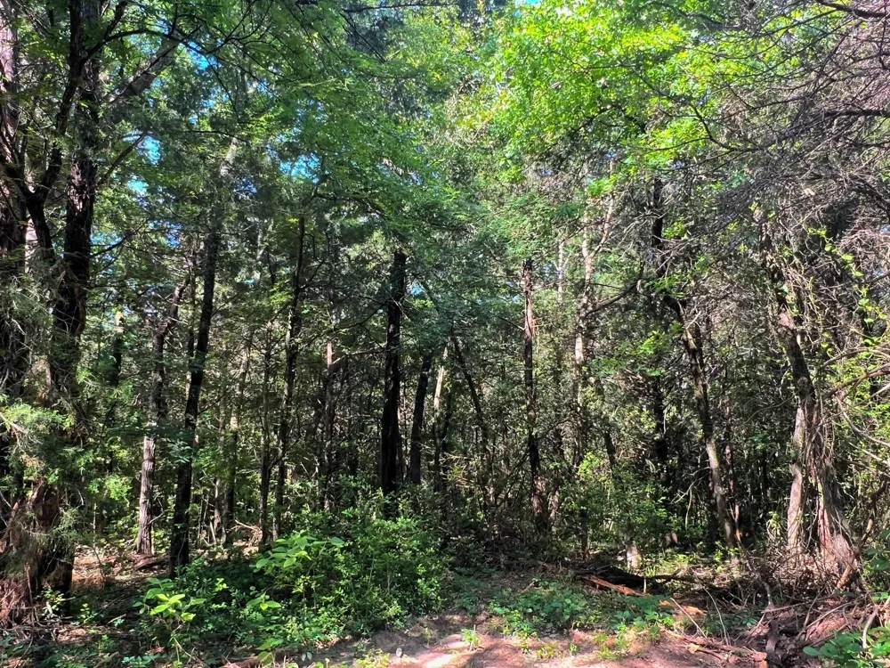 78 Cr 1080 Fairfield, TX 75840