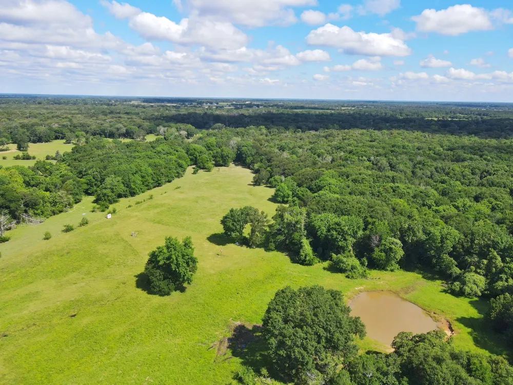 78 Cr 1080 Fairfield, TX 75840