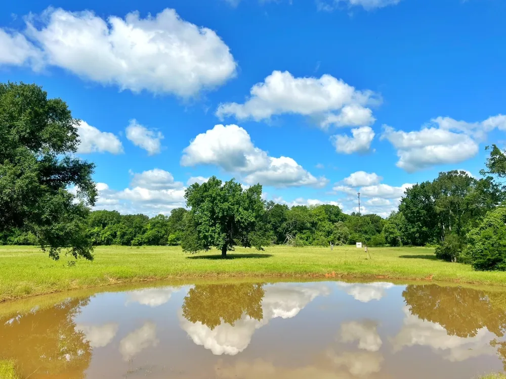 78 Cr 1080 Fairfield, TX 75840