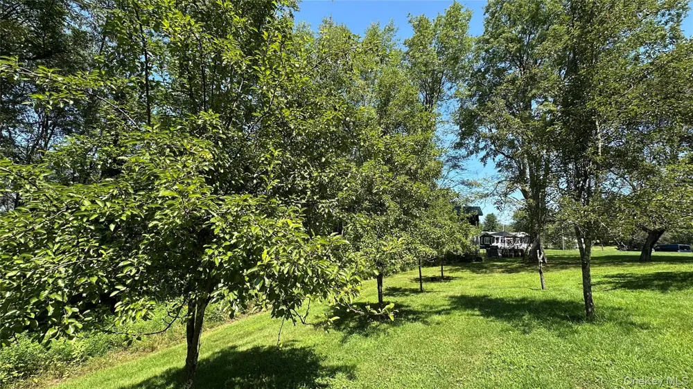 3377 State Route 52 White Sulphur Spring, NY 12787