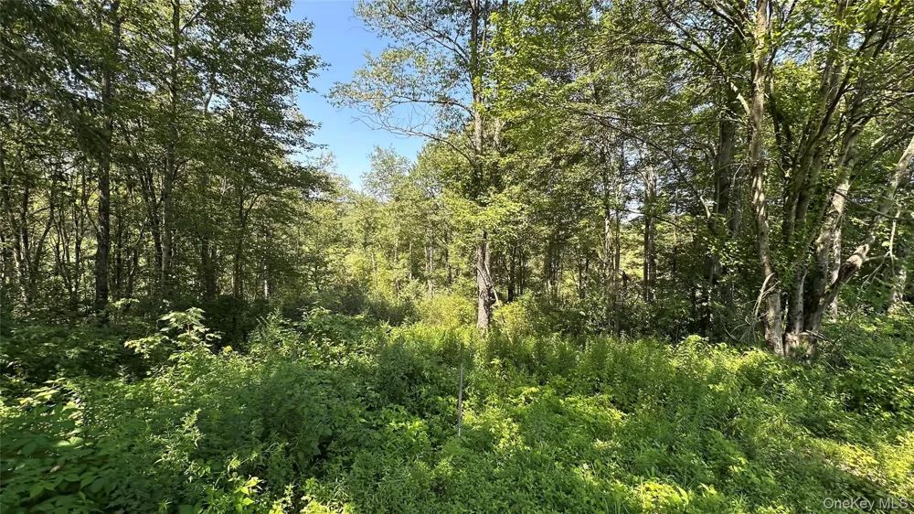 3377 State Route 52 White Sulphur Spring, NY 12787