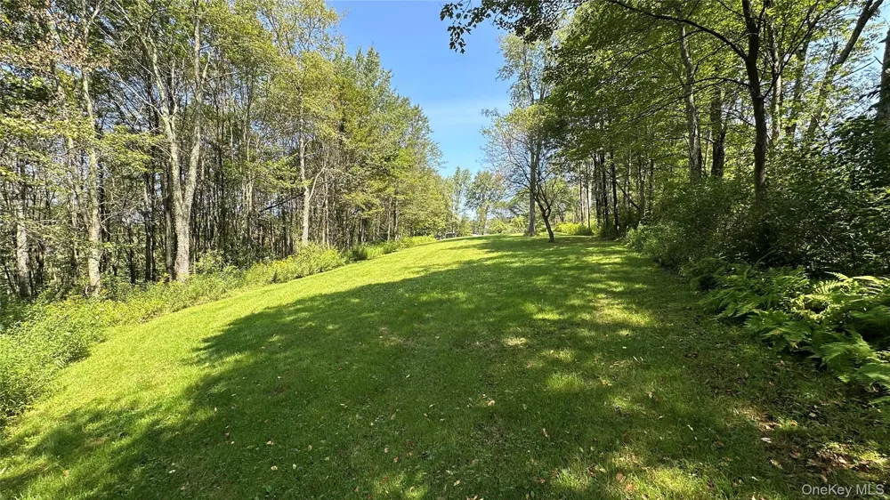 3377 State Route 52 White Sulphur Spring, NY 12787