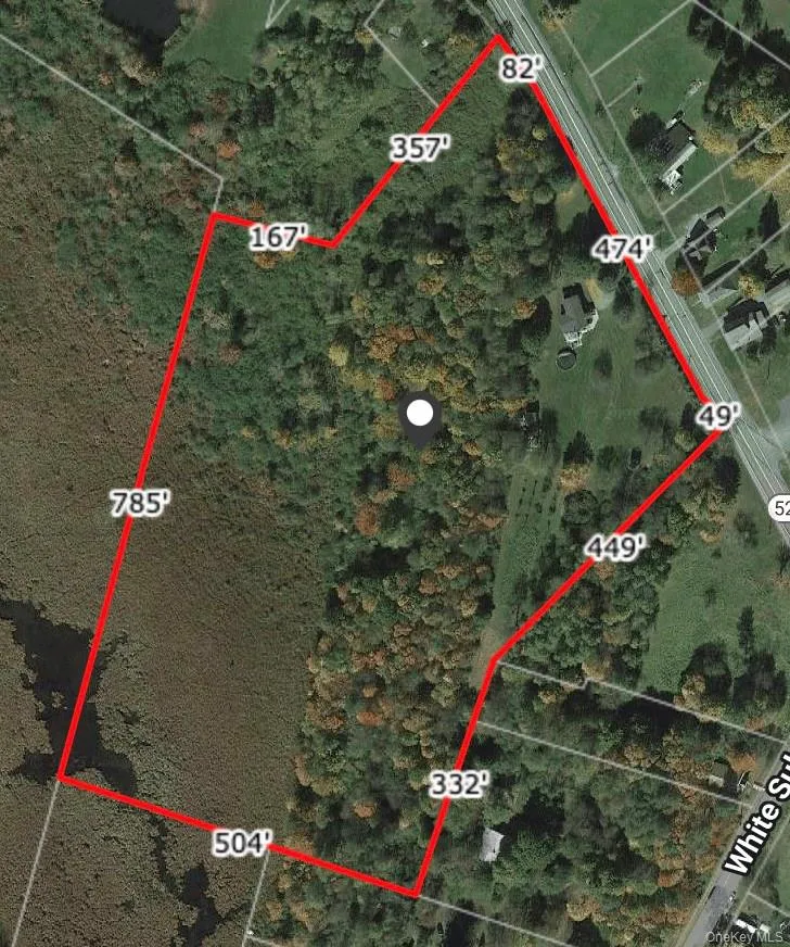 3377 State Route 52 White Sulphur Spring, NY 12787
