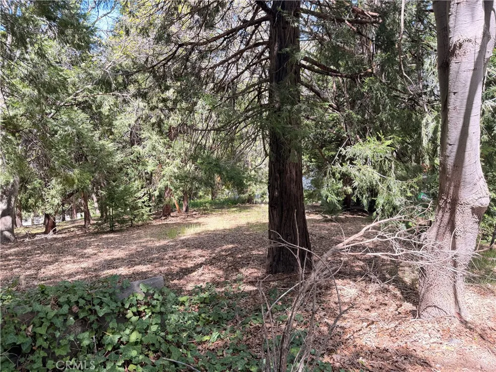Cumberland Lake Arrowhead, CA 92352