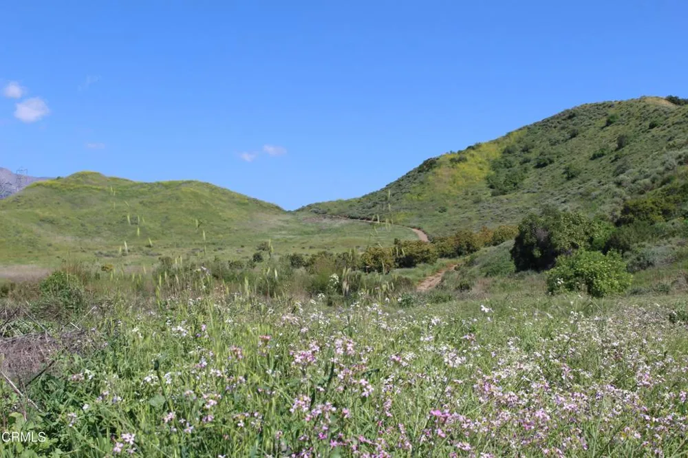 Dickenson Road Santa Paula, CA 93060