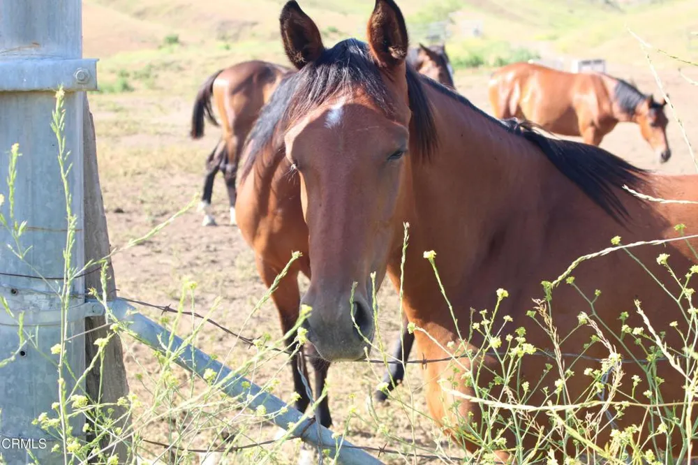 Dickenson Road Santa Paula, CA 93060