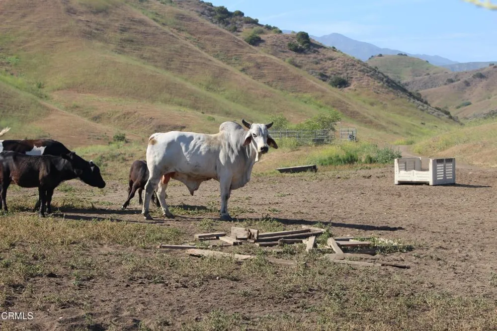 Dickenson Road Santa Paula, CA 93060