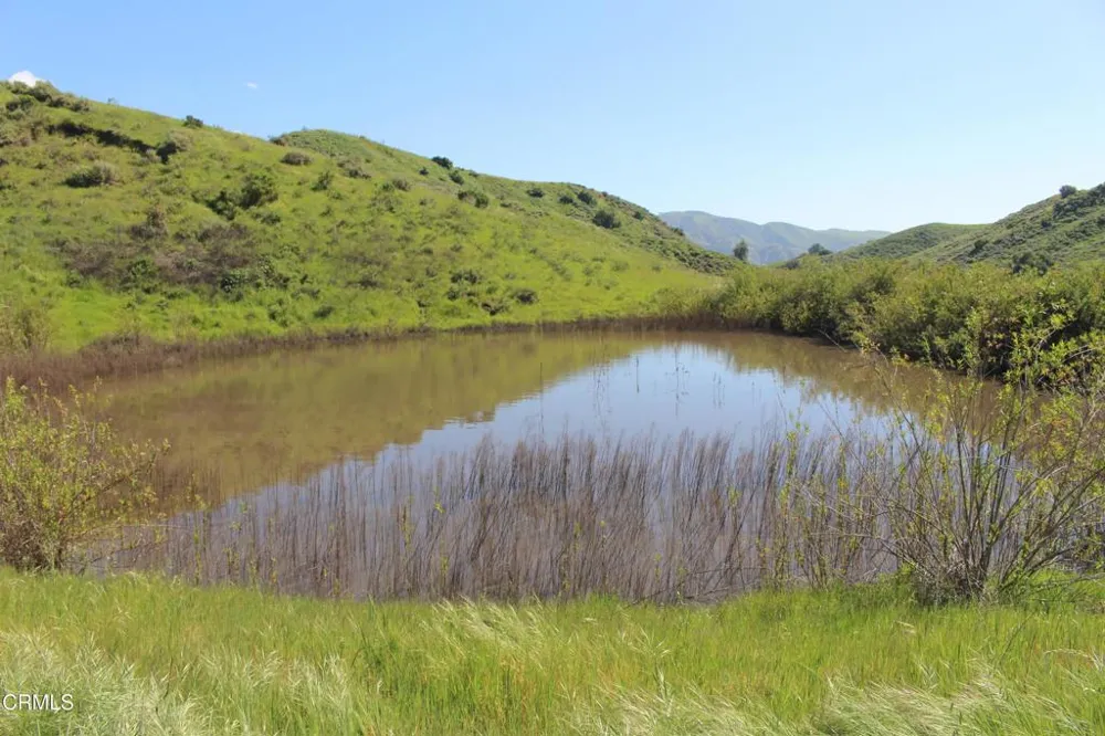 Dickenson Road Santa Paula, CA 93060