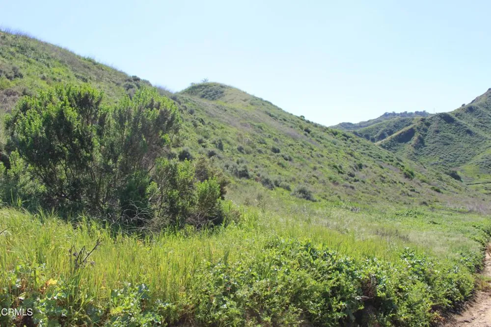 Dickenson Road Santa Paula, CA 93060