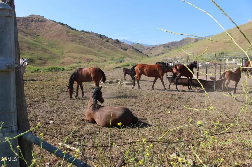Dickenson Road Santa Paula, CA 93060