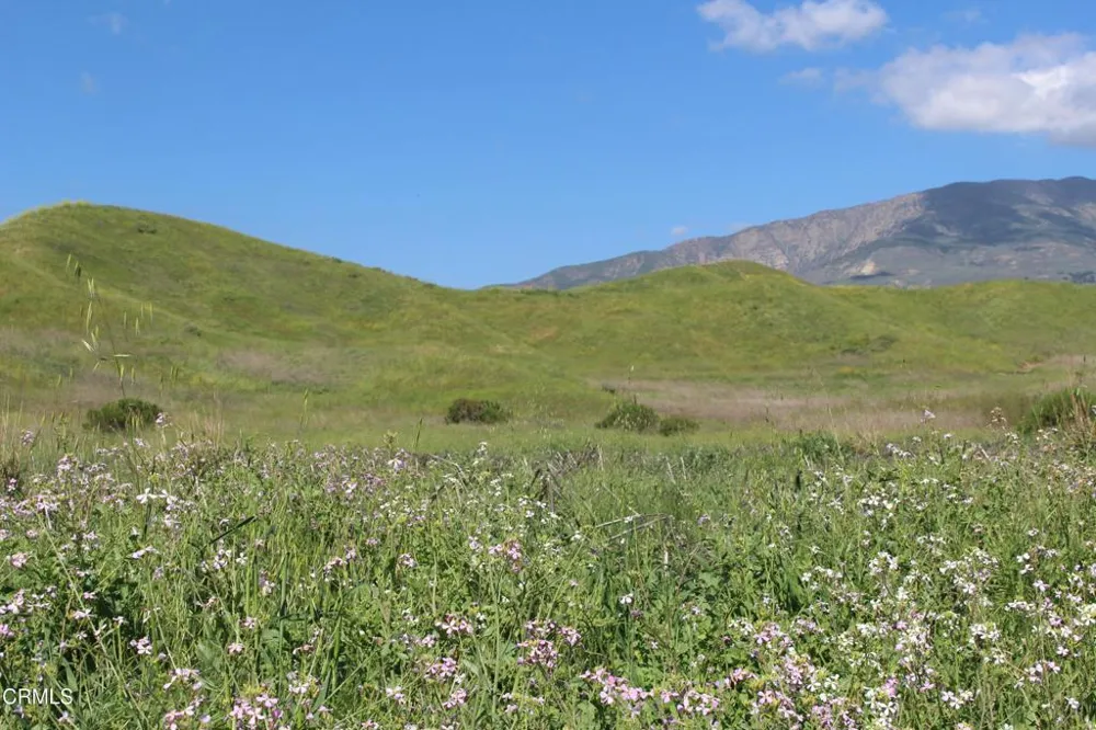 Dickenson Road Santa Paula, CA 93060