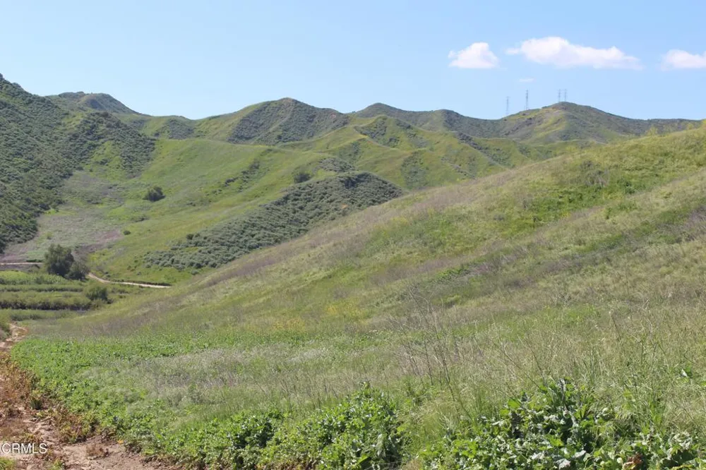Dickenson Road Santa Paula, CA 93060