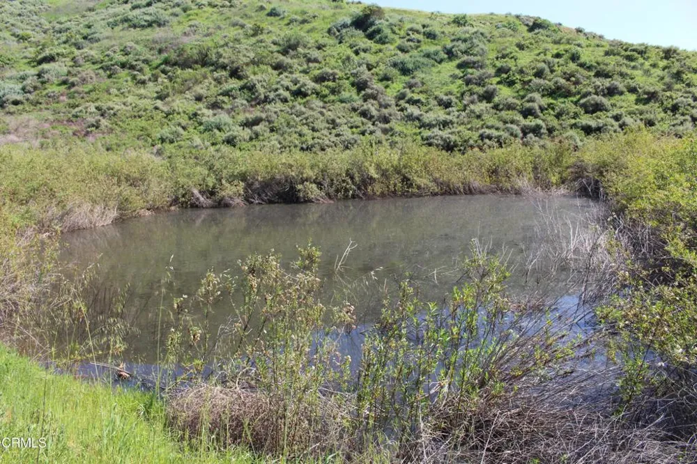 Dickenson Road Santa Paula, CA 93060