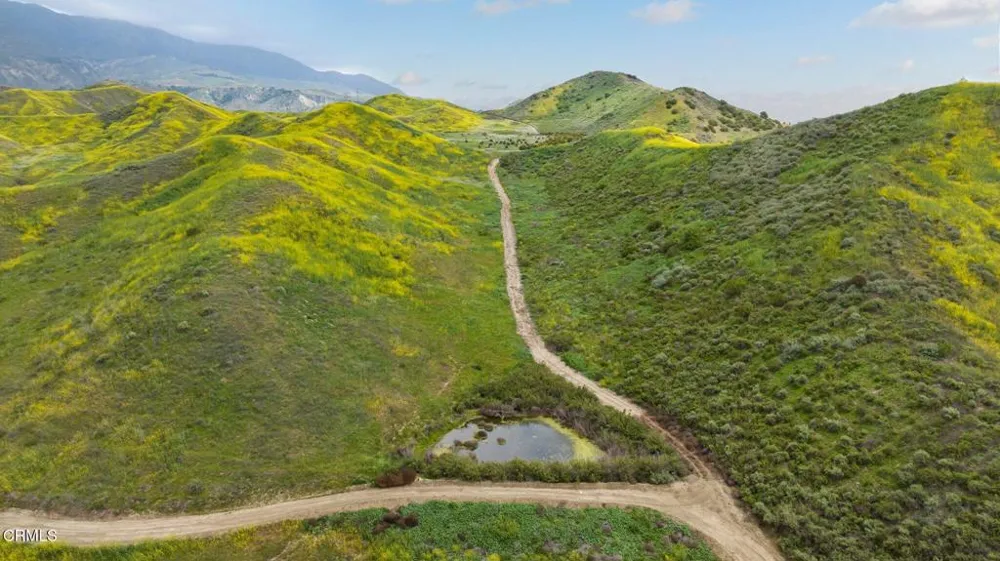Dickenson Road Santa Paula, CA 93060