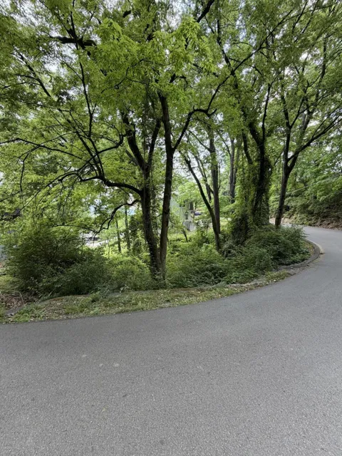 Pine Ridge Road