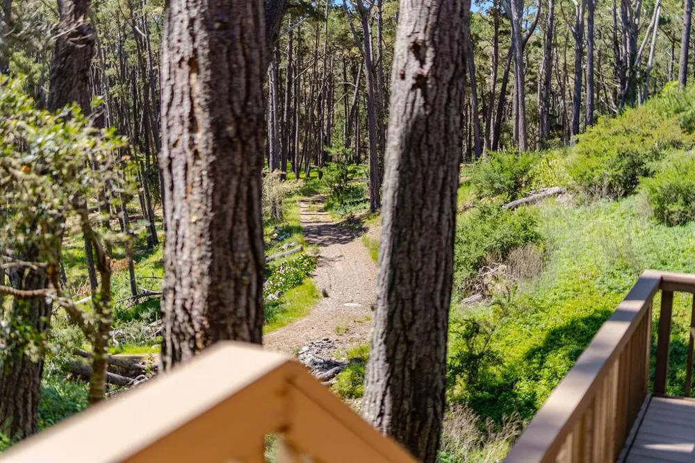4192 Sunridge Road Pebble Beach, CA 93953