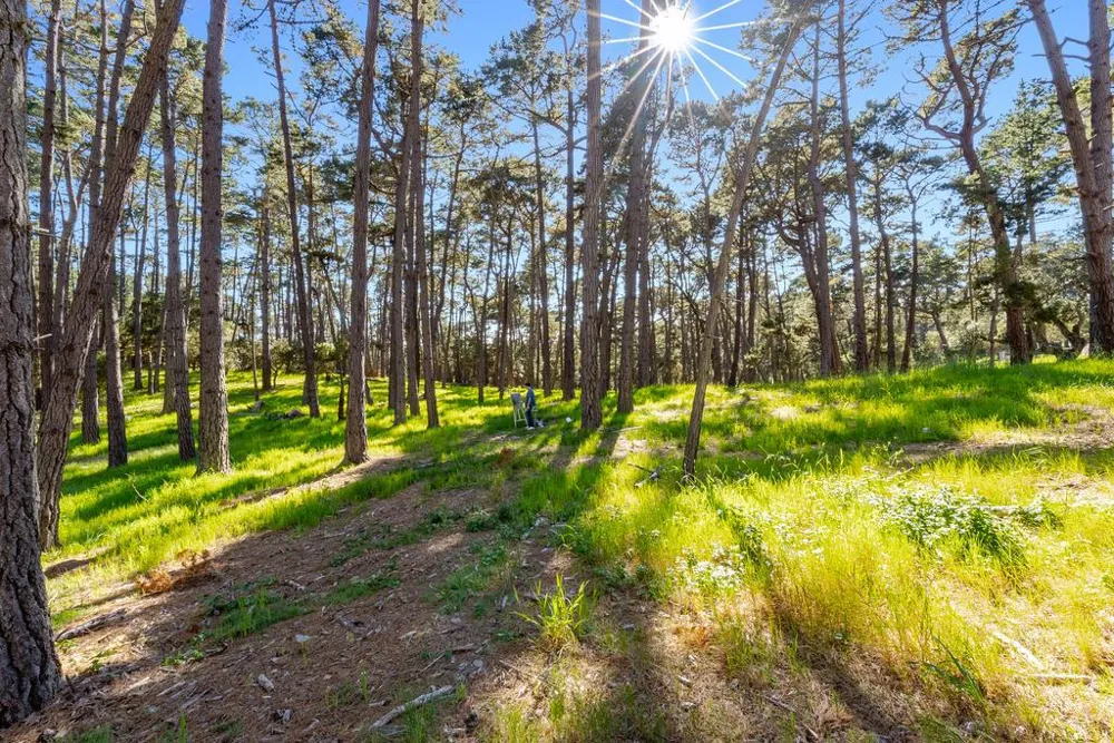 4192 Sunridge Road Pebble Beach, CA 93953