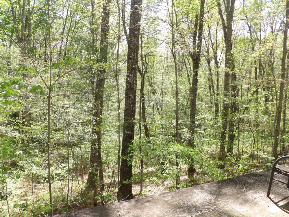310 Dogwood Road Pikeville, TN 37367