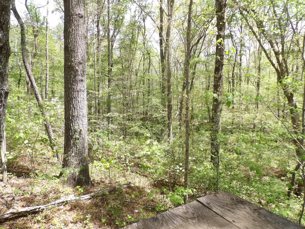 310 Dogwood Road Pikeville, TN 37367