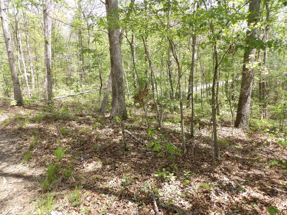 310 Dogwood Road Pikeville, TN 37367