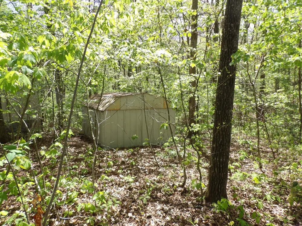 310 Dogwood Road Pikeville, TN 37367