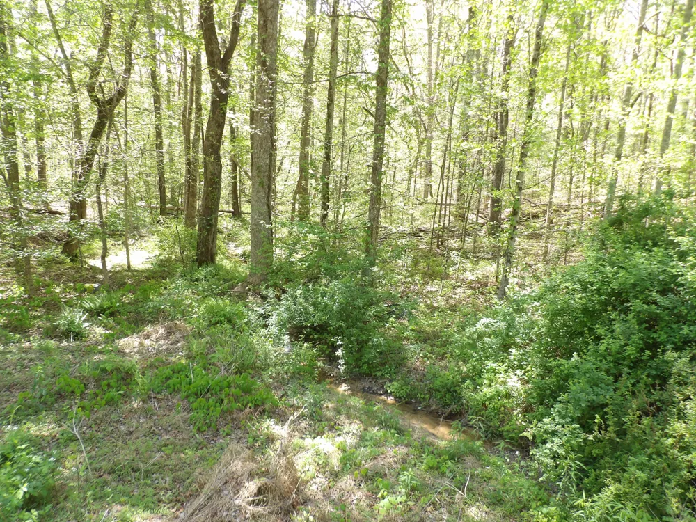 310 Dogwood Road Pikeville, TN 37367