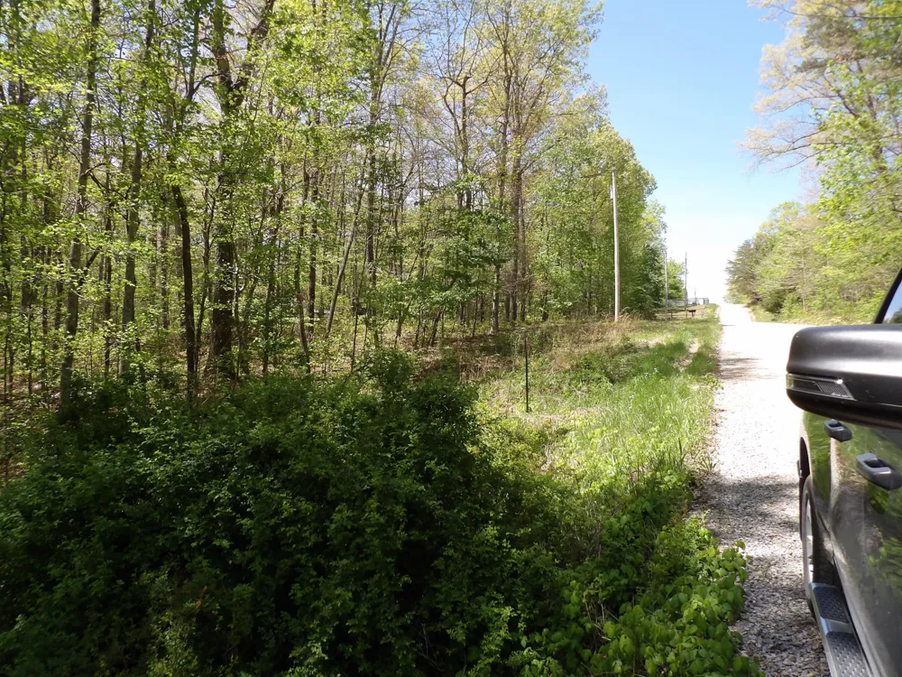 310 Dogwood Road Pikeville, TN 37367