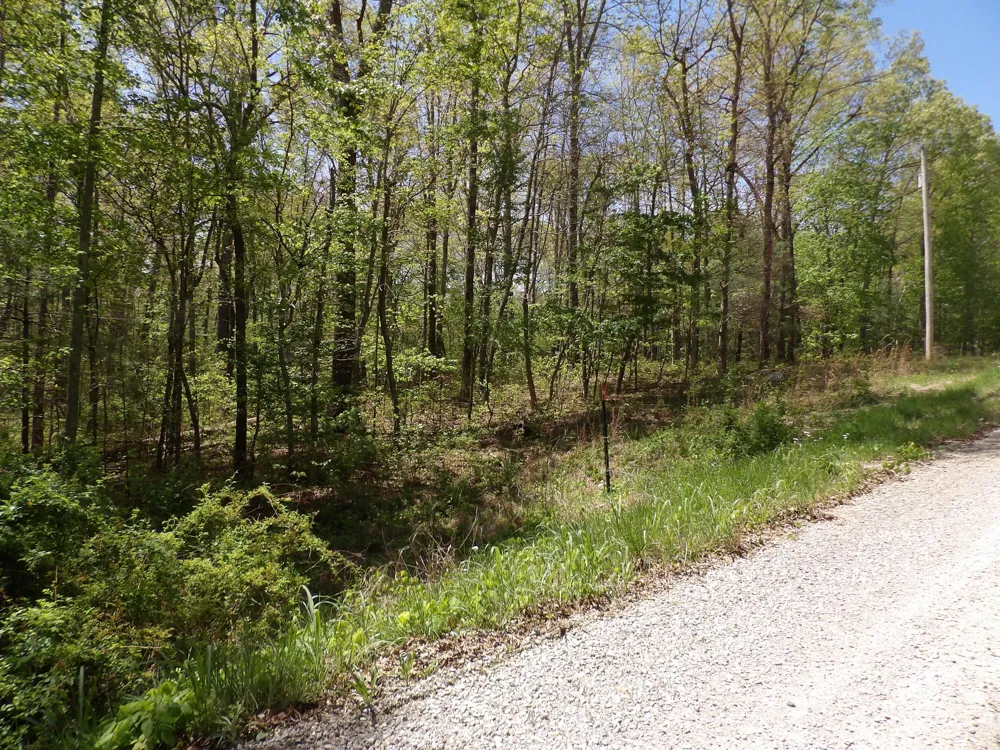 310 Dogwood Road Pikeville, TN 37367
