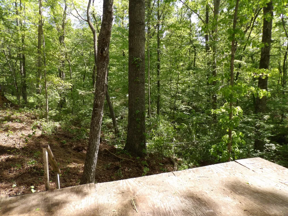 310 Dogwood Road Pikeville, TN 37367