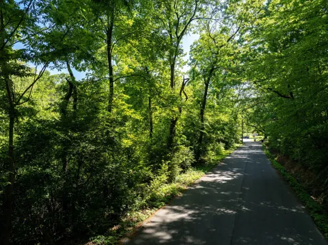 New York Avenue