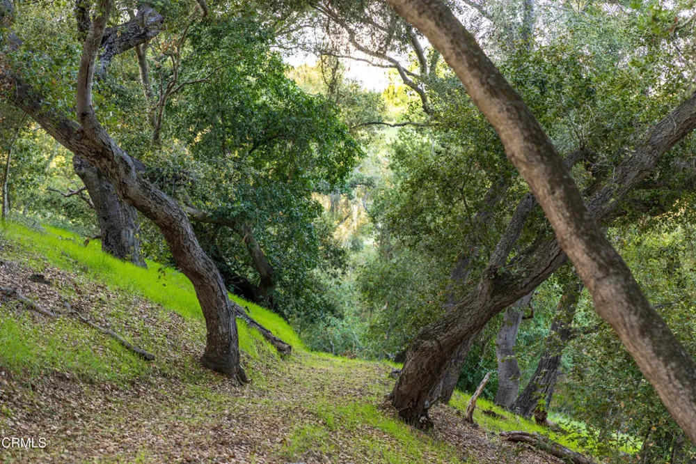 1270 Dove Meadow Road Solvang, CA 93463