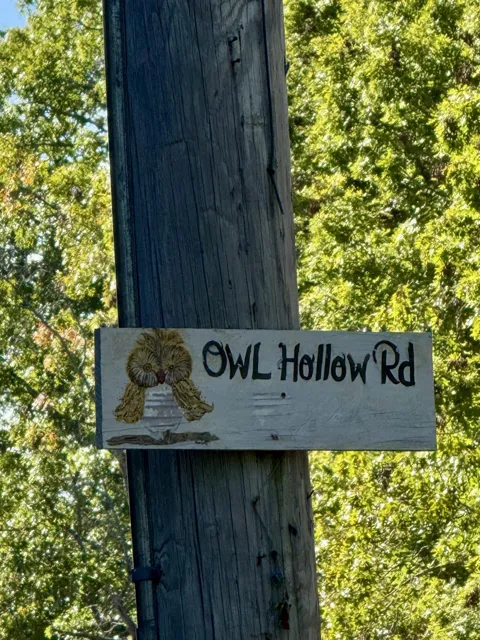 Owl Hollow Road