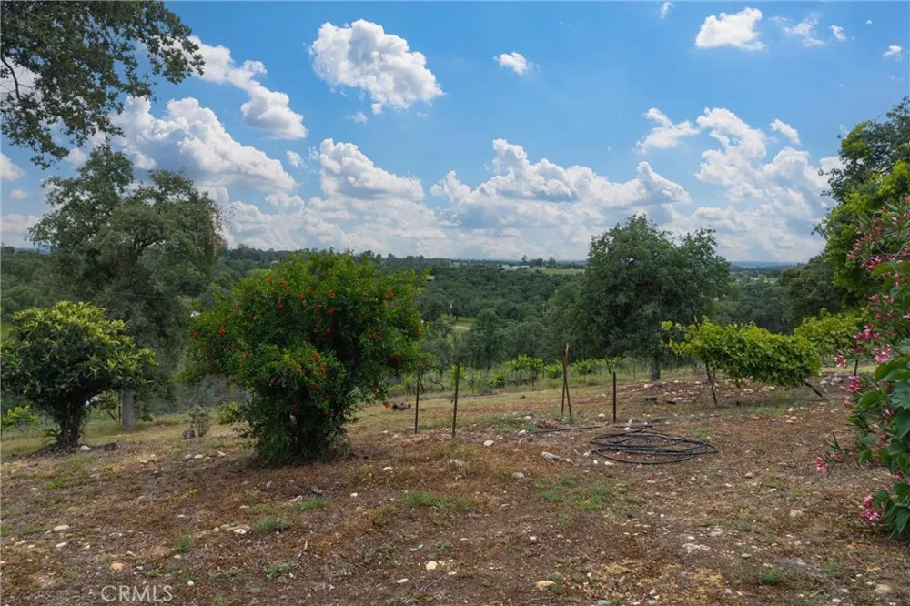 150 Whitney Court Oroville, CA 95966
