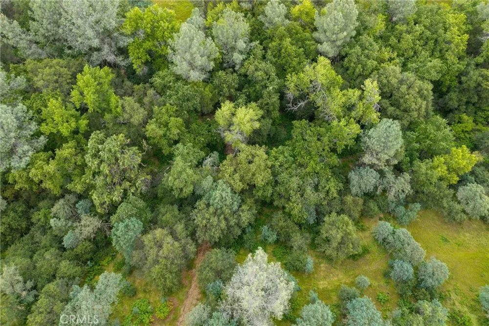150 Whitney Court Oroville, CA 95966