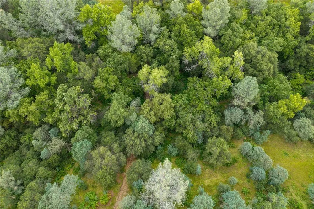 150 Whitney Court Oroville, CA 95966