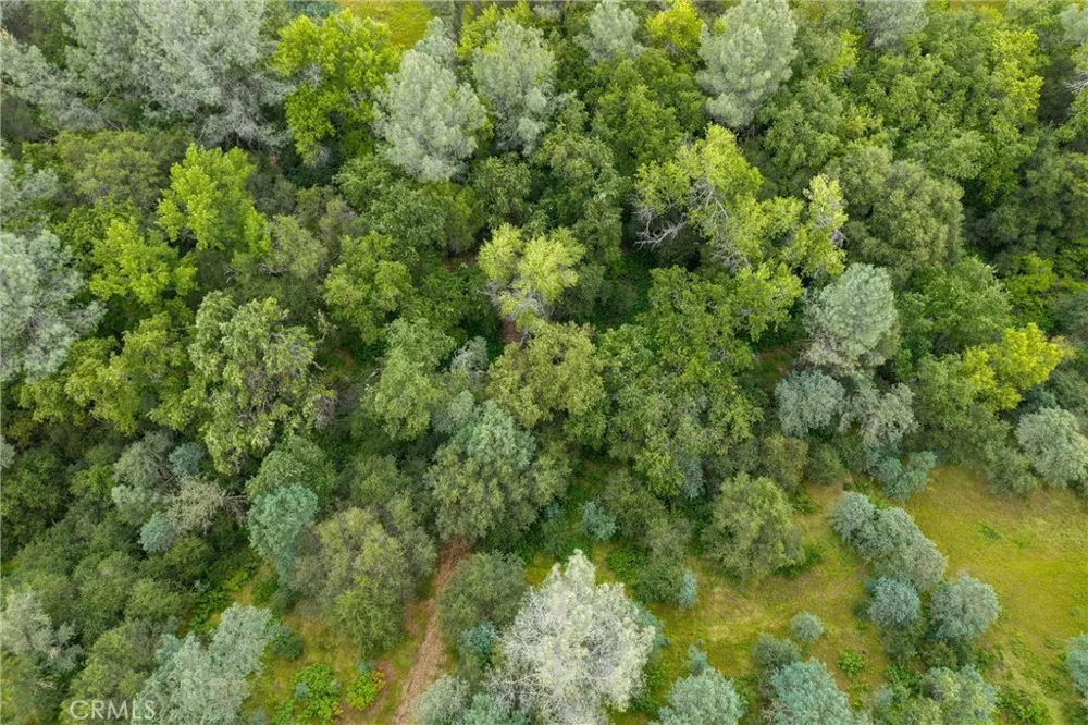 150 Whitney Court Oroville, CA 95966