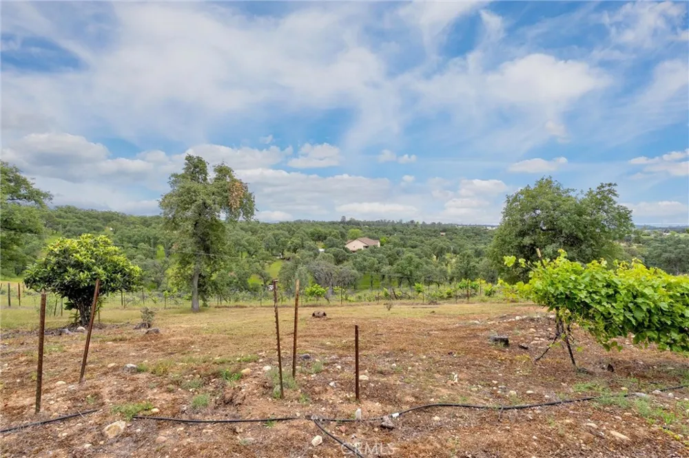 150 Whitney Court Oroville, CA 95966
