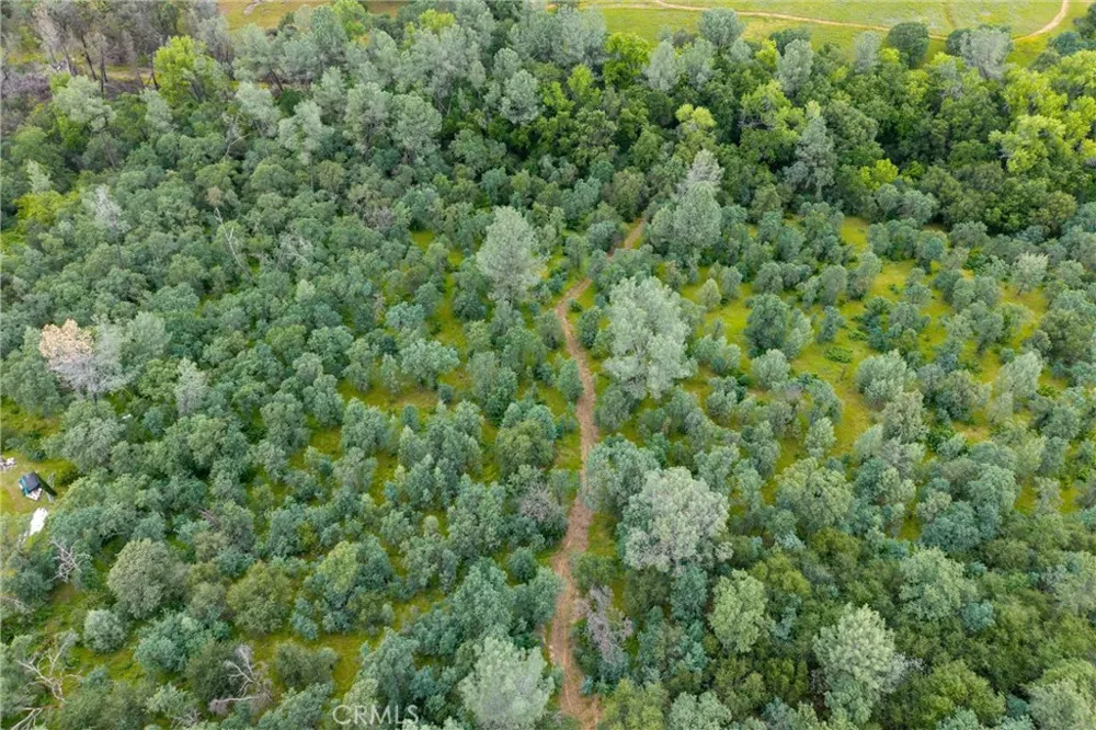 150 Whitney Court Oroville, CA 95966