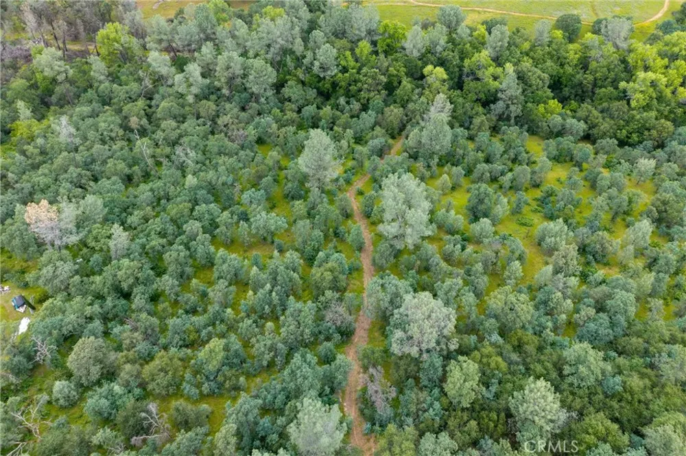 150 Whitney Court Oroville, CA 95966