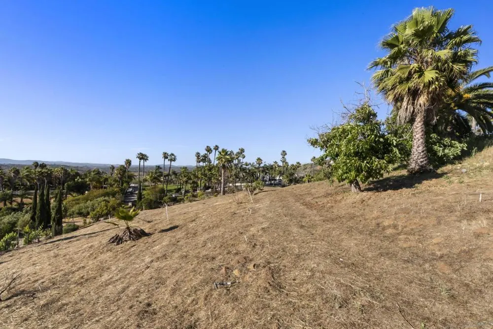 1403 Chariot Ct Bonsall, CA 92003