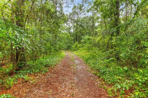 Whispering Pines Lane