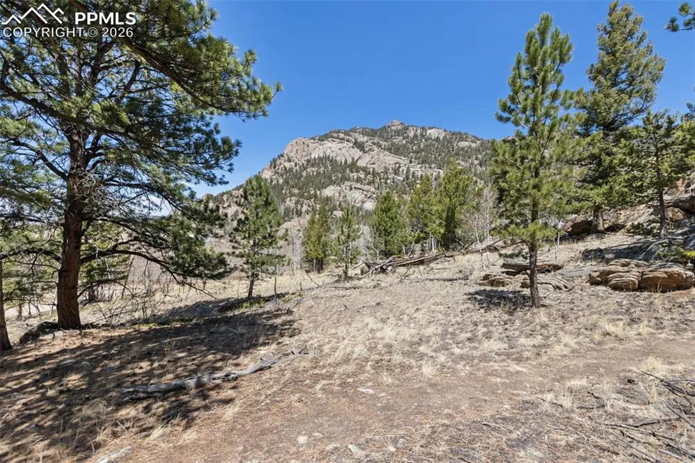 61 Garnet Lane Lake George, CO 80827